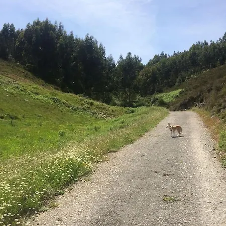 Casa Dos Veados Дом отдыха Ladeiras (Coimbra)