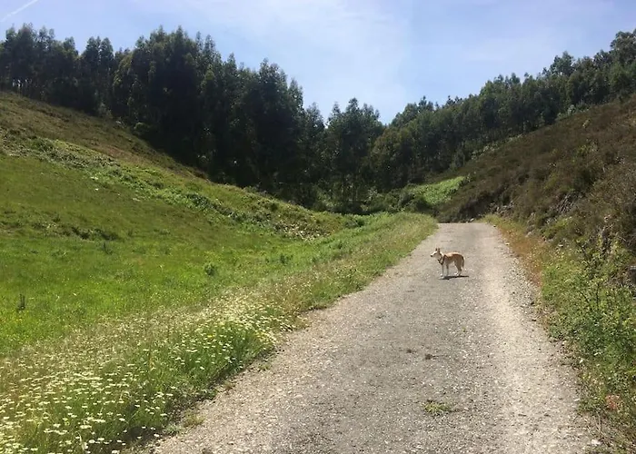 Casa Dos Veados Casa vacanze Ladeiras (Coimbra)